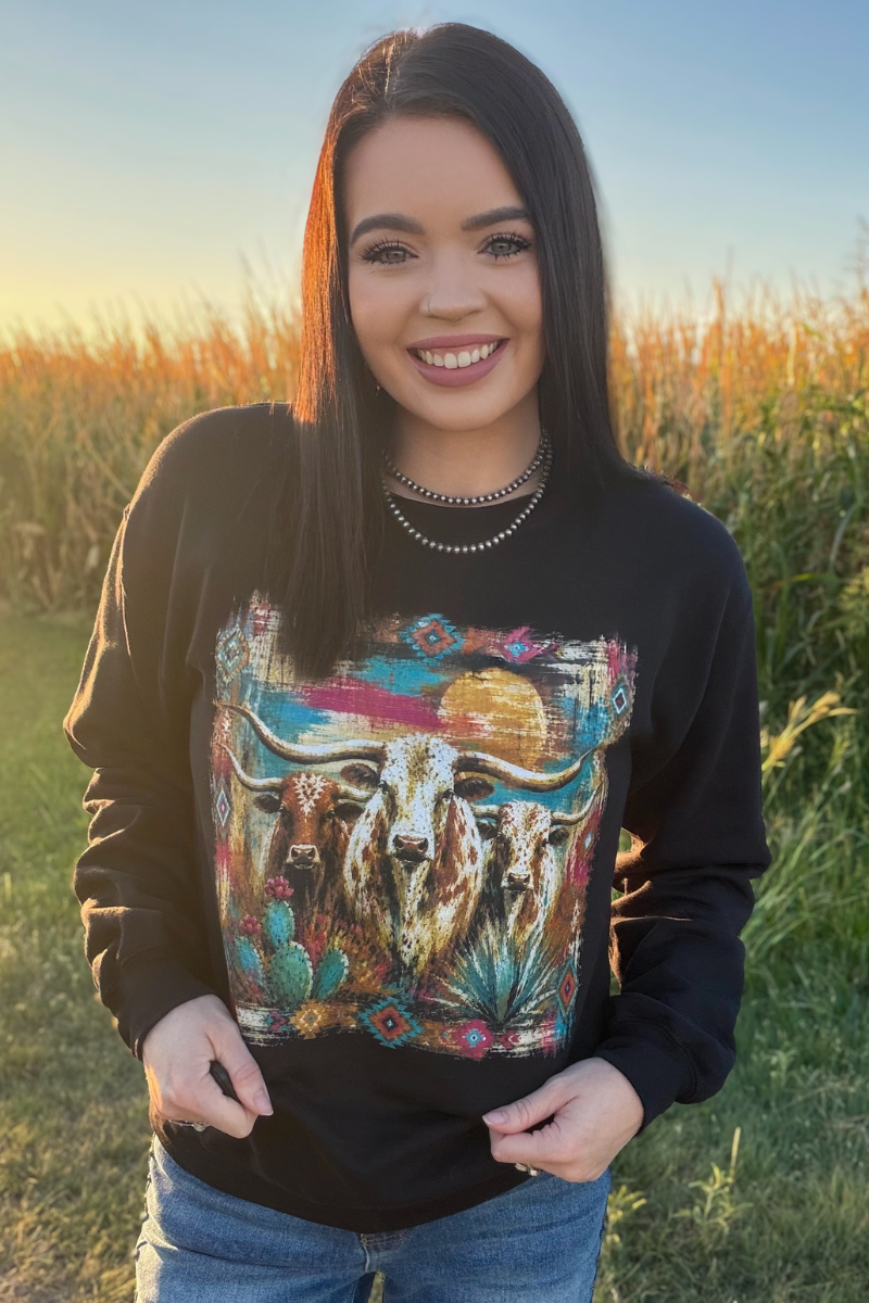 Painted West Pullover Sweatshirt Longhorn