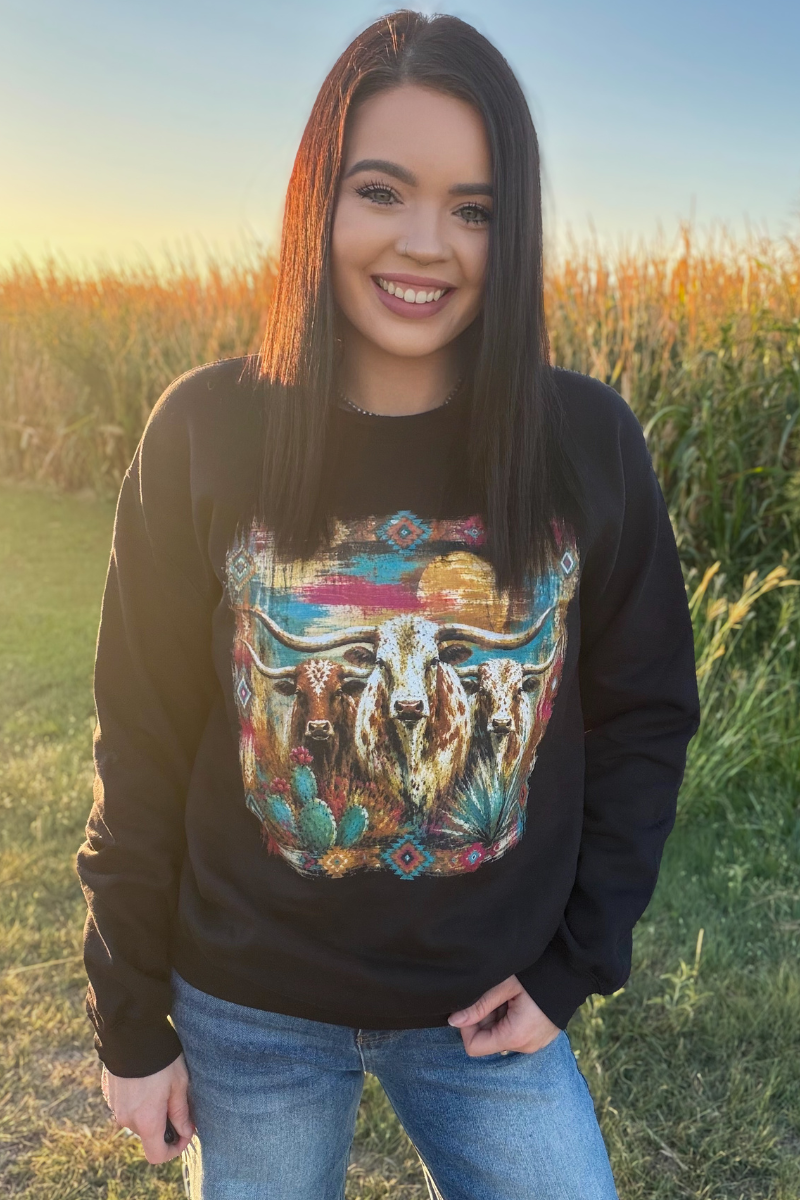 Painted West Pullover Sweatshirt Longhorn