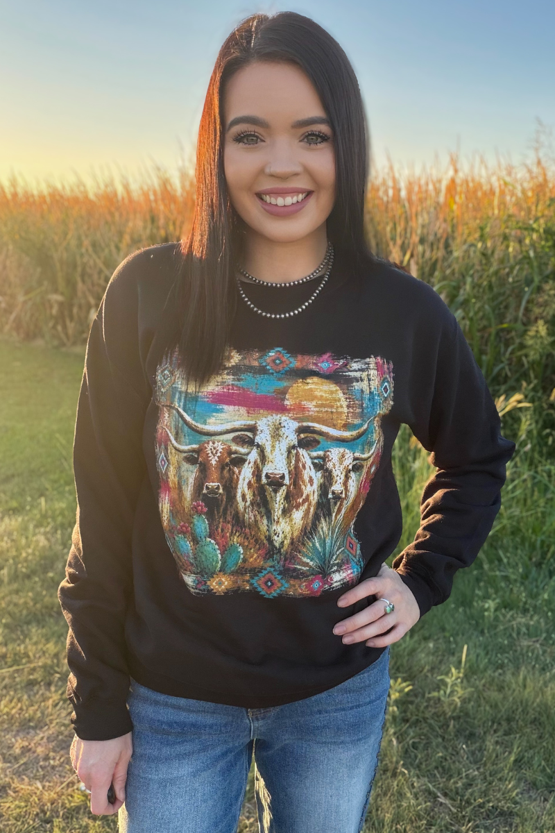 Painted West Pullover Sweatshirt Longhorn