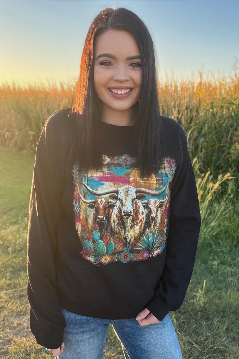 Painted West Pullover Sweatshirt Longhorn