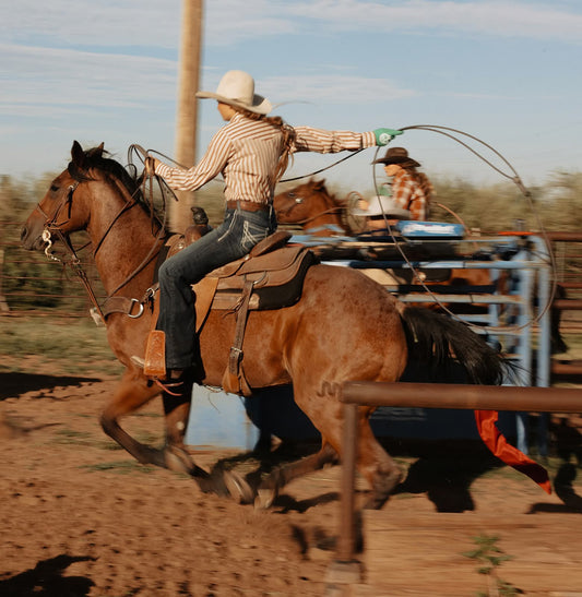 Ely Cattleman Women's Cowboygirl Ranch Rig Rust Horseshoe Stripe Print Granddaddy Snap Shirt